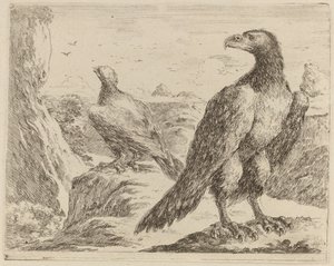 Two Eagles, Both with Heads Turned to the Left   1243991   hu       hungarian Successfully Translated  Original: Portret van een onbekend meisje Translat: Portret van een onbekend meisje 1378996 hu hungarian Successfully Translated Original: Fountain of yo alkotó: Stefano della Bella