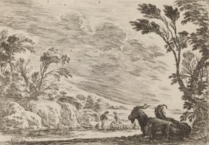 Két kecske fekve, 1642. alkotó: Stefano della Bella