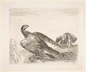 Két sas, az egyik prédával, az Eagles Les aigles-től, kb. 1651.