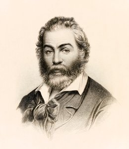 Elülső rész a "Leaves of Grass" 1860-as kiadásából, Walt Whitman amerikai költő költészetgyűjteményéből alkotó: Stephen Alonzo Schoff
