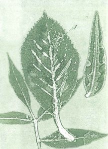Gone IX, 2015 (monoprint, papír) alkotó: Stephen Dow