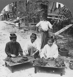 A nők által elszívott hatalmas szivarok készítése, Burma, 1908