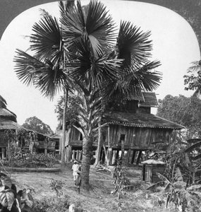Cölöpökre épített szülőház, Bhamo, Burma, 1908 alkotó: Stereo Travel Co