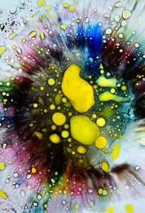 Tie Dye Splatter, 2024