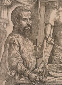 Andreas Vesalius egy holttest alkarjának izmait boncolgatja, 1543. alkotó: Steven van Calcar