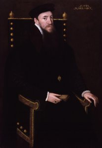 Henry Fitzalan, Arundel 12. grófja