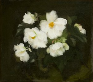 Fehér rózsák (olaj, vászon) alkotó: Stuart Park