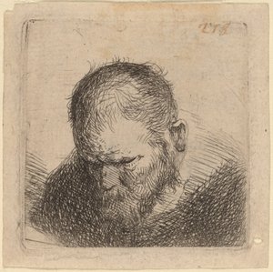 Szakállas Férfi Lenézett alkotó: Studio of Rembrandt van Rijn