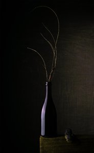 Csendes természet sötét üveggel alkotó: Sumit Dhuper