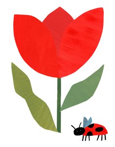 Piros tulipán és katicabogár