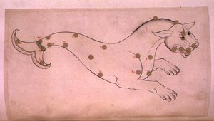 Csillagképek: Cetus, a bálna alkotó: Suvar Al-Kavakib