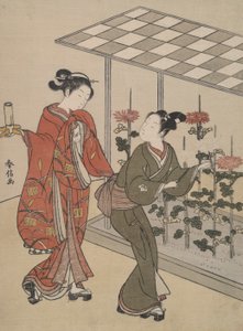 Krizantém megtekintése alkotó: Suzuki Harunobu