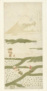 rizsültetők alkotó: Suzuki Harunobu