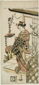A színész, Segawa Kikunojo II Umegae udvarhölgyeként a „Hiragana Seisuiki” című darabban, amelyet az Ichimura Színházban mutattak be 1764 első hónapjában. alkotó: Suzuki Harunobu