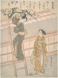 A szerelem kezdete alkotó: Suzuki Harunobu