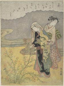 A bokorlóhere (Hagi) alkotó: Suzuki Harunobu