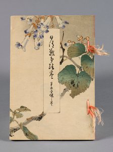 Nisshin sensō emaki (Japán és Kína csatái), 5. kötet, Heijō no kan (Ping Yang)