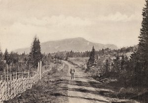 Svédország / Svédország: Jamtland, Areskutan Fran Undersaker (f/w fotó) alkotó: Swedish Photographer