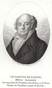 Karl Asmund Rudolphi alkotó: Swedish School