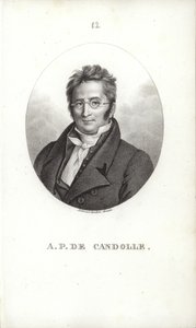 Augustin Pyramus de Candolle alkotó: Swiss School