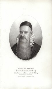 Gaspard Bauhin alkotó: Swiss School