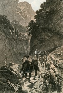Csomólovak átkelnek egy hegyhágón alkotó: Swiss School