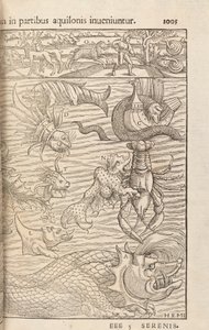 1005. oldal a Cosmographiae Universalisból, Sebastian Muenster, Basel, 1572 alkotó: Swiss School