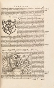 Cosmographiae Universalis 983. oldal, Sebastian Muenster, Basel, 1572 alkotó: Swiss School