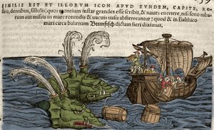 Tengeri szörnyek, illusztráció Conrad Gesner „Historia Animalium” című művéből alkotó: Swiss School