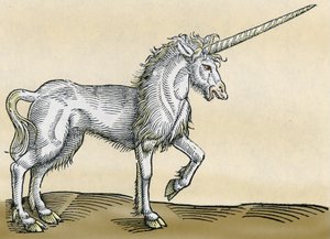 Egyszarvú, illusztráció a Historia Animaliumból, Conrad Gesner, 1551