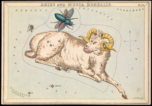 Kos és Musca borealis, 1825 körül (kártya, papír, szövet)
