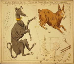 Canis Major, nyúl, Columba Noah és Cela szobrász, Illusztráció az „Uránia tükréből”