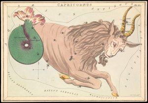 Capricornus, 1825 körüli (kártya, papír, szövet )