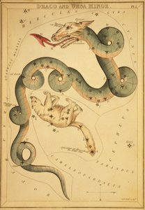 Draco és Ursa Minor, Illusztráció az „Uránia tükréből”
