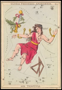 Gloria Frederich, Androméda és Triangula, 1825 körül (kártya, papír, selyem) alkotó: Sydney Hall