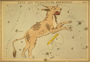 Lynx and Telescopium Herschilii, Illusztráció az 