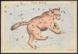 Ursa Major, 1825 körül (kártya, papír, szövet) alkotó: Sydney Hall