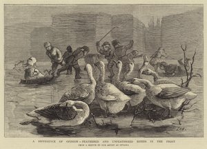 Véleménykülönbség, tollas és tollatlan kétlábúak a fagyban alkotó: Sydney Prior Hall