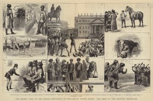 Az indiai kontingens legutóbbi látogatása Angliában a Stowe House-ban, a Grafton Foxhounds találkozóján