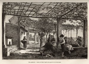 Villa Menton, Taylor rajza nyomán, Menton és Bordhighera utazását illusztráló metszet, 1871-ben, Adolphe Joanne, megjelent a „Le tour du monde” 1874-ben, szerkesztette Edouard Charton, Hachette kiadás, Párizs. Selva kollekció.