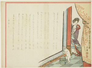 Rizs-pounding nyúl