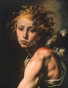 Dávid figurája, részlet Dávidtól Góliát fejével, Tanzio da Varallo (1575-1635) alkotó: Tanzio da Varallo