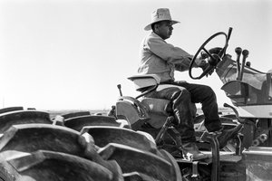 A családi gazdálkodó Ed Ker az A.M. Ker Ranch-on egy mezőgazdasági gazdálkodó, aki alfal... alkotó: Ted Spiegel