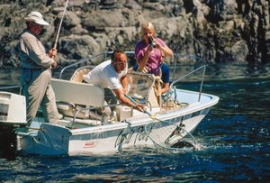 A fogását rögzítő filmfelvételen egy horgász lazacot teker a Bute Inletnél. alkotó: Ted Spiegel