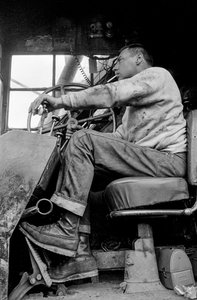 A Georgia-Pacific Corp. fakitermelési műveletei az oregoni faföldművelő erdőkben ... alkotó: Ted Spiegel