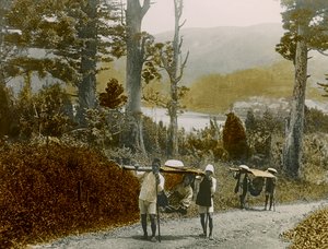 Japán lány egy Kago-ban, Hakone régióban, 1900 körül - 1915 (fénykép)