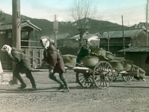 Japán parasztok rizses zsákokat húznak egy szekéren, 1900 körül - 1915 (fénykép)