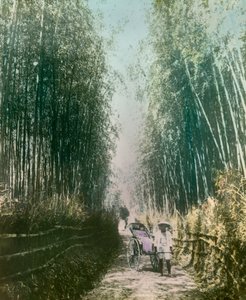  alkotó: Teijiro Takagi