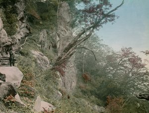a Kegon vízesésekhez vezető úton Nikkóban, 1900-1915 körül (fénykép) alkotó: Teijiro Takagi