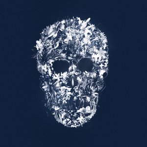 FloralSkull, 2018 (vegyes technika, vászon) alkotó: Teis Albers